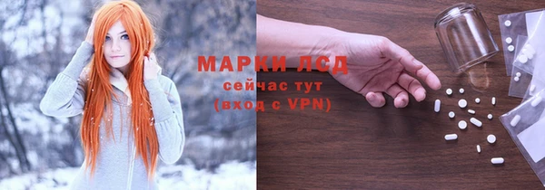 стафф Алзамай
