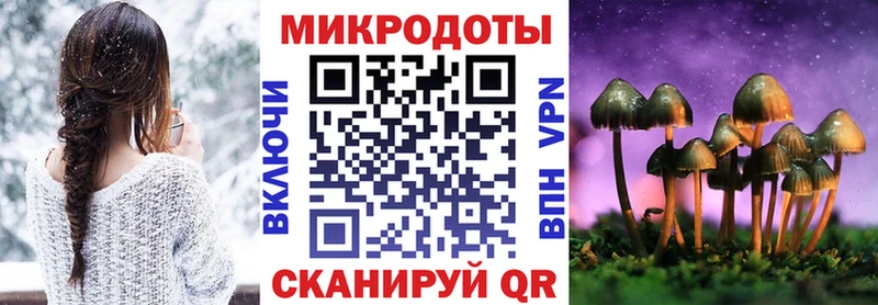 Псилоцибиновые грибы Psilocybine cubensis  хочу   Северская 