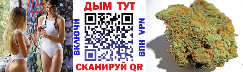 купить закладку  Северская  Конопля MAZAR 